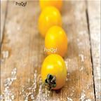 19usd Prodgf 9000Pcs A Set yellow gooseberry shape tomato seed