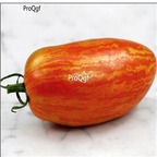 19usd Prodgf 9000Pcs A Set striped roman tomato seed