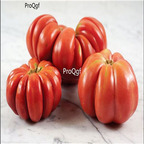19usd Prodgf 9000Pcs A Set banana shape tomato seed