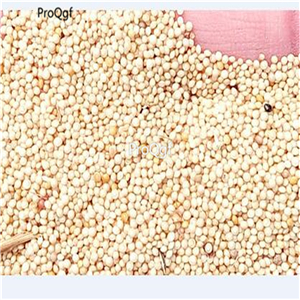 19usd Prodgf 30000Pcs A Set green rare amaranth seed