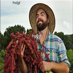19usd Prodgf 30000Pcs A Set dark red rare amaranth seed