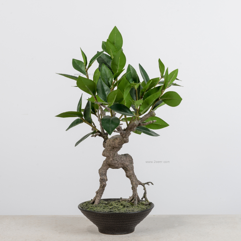 绿植-中式简约-仿真绿植-月桂盆景