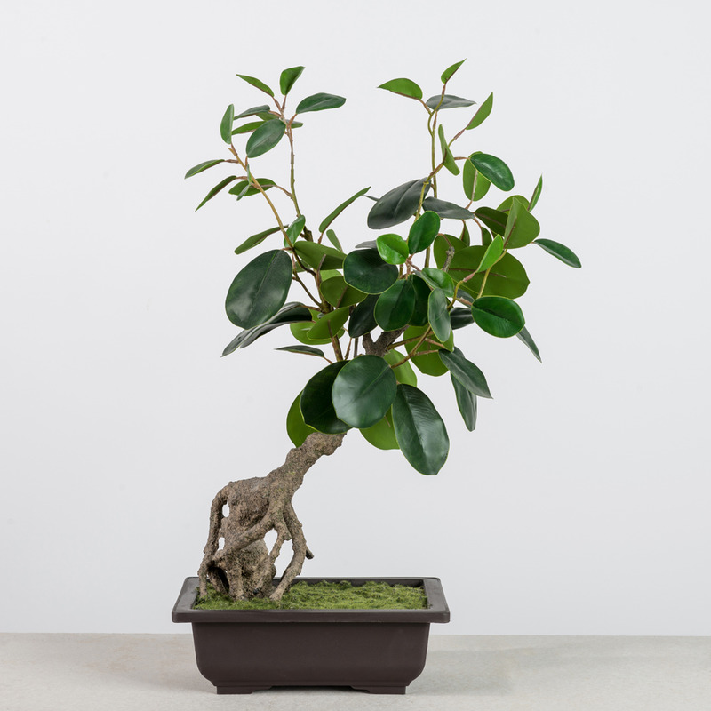 绿植-中式简约-仿真植物-圆叶榕盆景