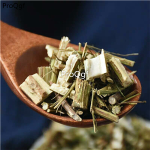 12usd Prodgf 500Gram A Set Qing Hao Herba Artemisiae Annua