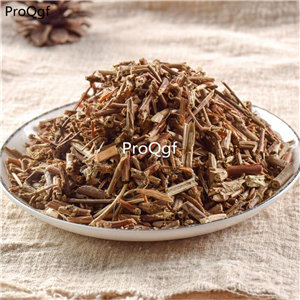 12usd Prodgf 500Gram A Set Stephania japonica