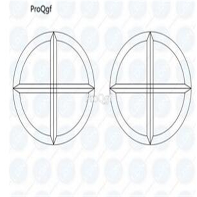 Prodgf 1 Set blank bevelled double cross punch press die mold