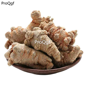 29usd Prodgf 500gram A Set Natural yunnan Sanqi panax Notoginseng