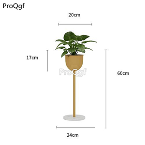 69usd Prodgf 1 Set luxury 24*60cm traditional flower shelf