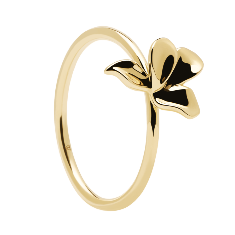 ESHA GOLD EARRINGS-5