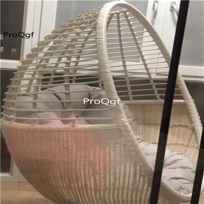 299usd Prodgf 1 Set nice color Hanging Chair