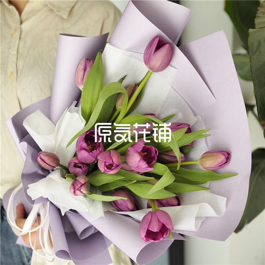 心动 多色郁金香花束 心动 多色郁金香花束