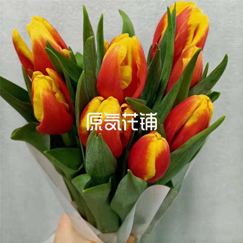原气花铺-花店-上海-北京心动--多色郁金香花束-6