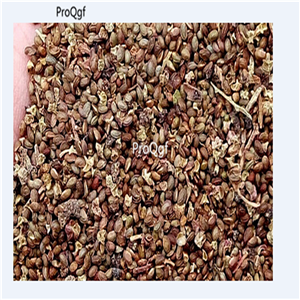 19usd Prodgf 3000Pcs A Set Raspberry Blackberry seed
