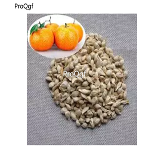 19usd Prodgf 2000Pcs A Set Tangerine Tree  seed
