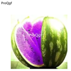 19usd Prodgf 500Pcs A Set Watermelon seed
