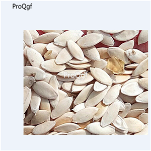 19usd Prodgf 3000Pcs A Set Rare Gherkin Cucumber seed