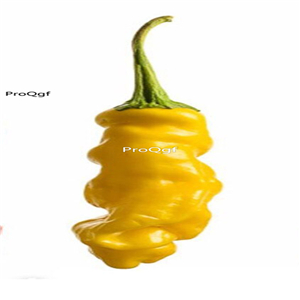 19usd Prodgf 6000Pcs A Set Joes Peter Pepper seed