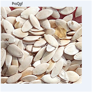 19usd Prodgf 3000Pcs A Set Russian Cucumber F1 Hybrid Cucumber  seed