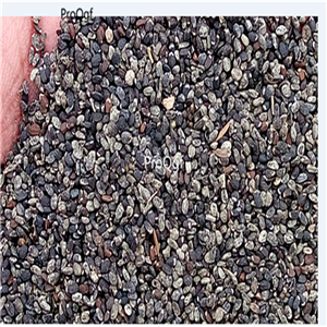 19usd Prodgf 20000Pcs A Set Natural Native Sweet Basil Turan seed