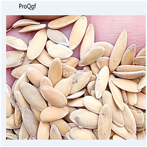 19usd Prodgf 3000Pcs A Set Natural Native Melon Pineapple  seed