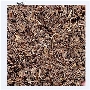 19usd Prodgf 30000Pcs A Set Natural Native Lettuce seed