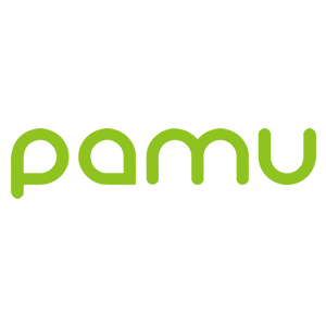 Pamu Z1/派美特  新品主动降噪入耳式 蓝牙耳机