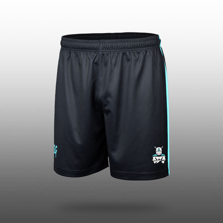 Boys Football/ Multi-purpose Shorts 男装足球短裤-2