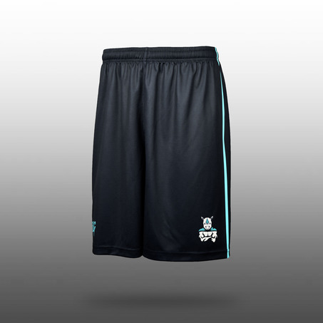 Boys Basketball Shorts 男装篮球服短裤-2