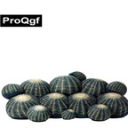 5000usd Prodgf 1Pcs A Set ins Romantic Yours Luxury Countryside Cactus Sofa