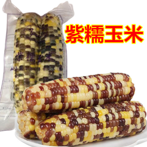 紫糯（粘）玉米 210g 非转基因 非真空　紫糯玉米2个入　彩糯玉米