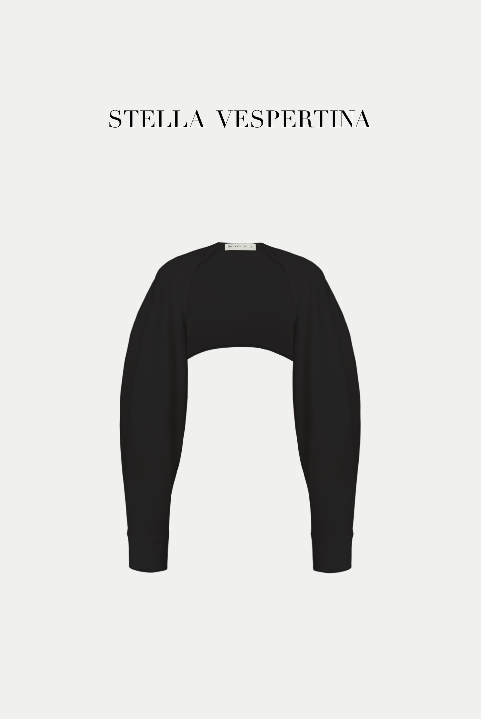 阔袖短款上衣-4