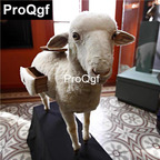 5000usd Prodgf 1Pcs A Set ins Hot Light Luxury Sheep Sofa Table