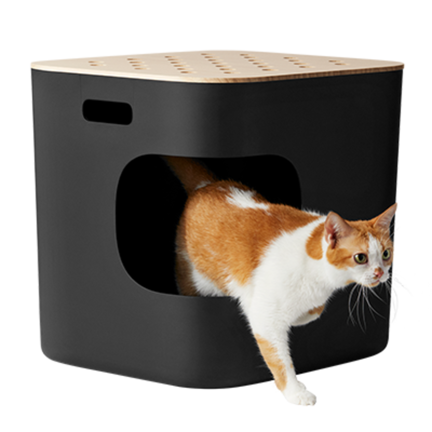 骨骼好壮壮冻干狗粮-3