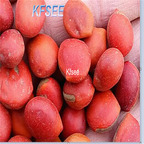 19usd Kfsee 50Pcs A Set Ormosia hosiei seed