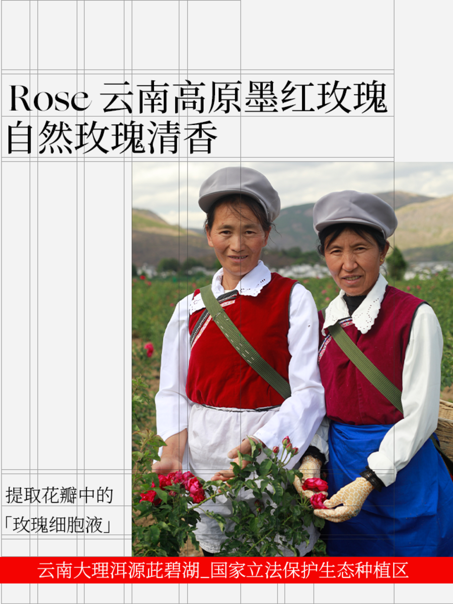 玫瑰普洱洁颜露  正装120ML-7