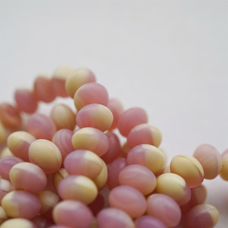 奶油拼粉色mix~糖豆扁圆捷克珠玻璃珠琉璃珠算盘珠隔珠 9X6MM