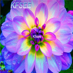 10usd Prodgf 5Pcs A Set Dahlia Flower Bulb