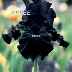 10usd Prodgf 5Pcs A Set Iris Flower Bulb