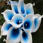 10usd Prodgf 5Pcs A Set Calla Flower Bulb