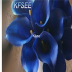 10usd Prodgf 5Pcs A Set Calla Flower Bulb