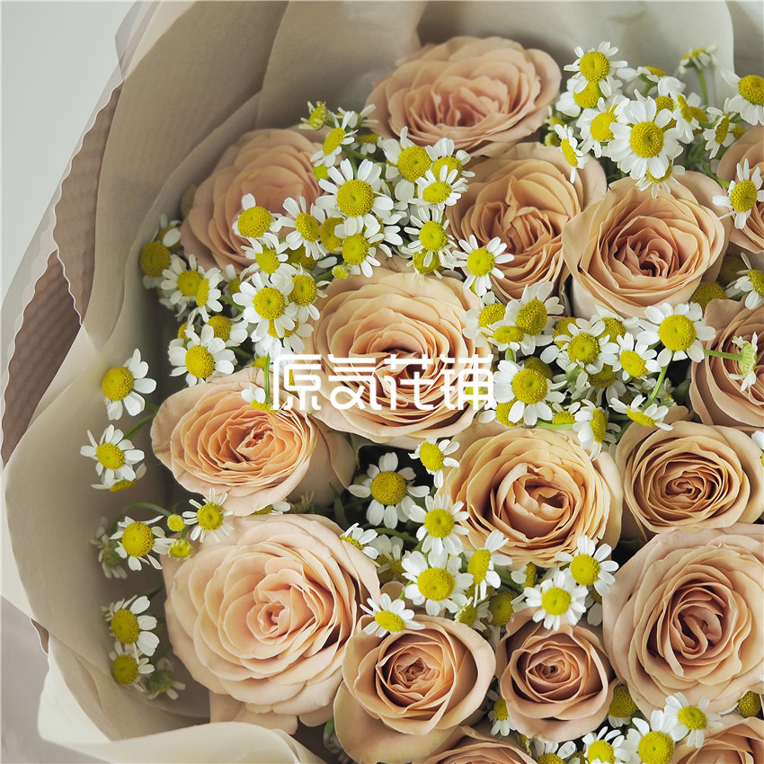 原气花铺-花店-上海-北京卡布奇诺--卡布奇诺玫瑰花束-8
