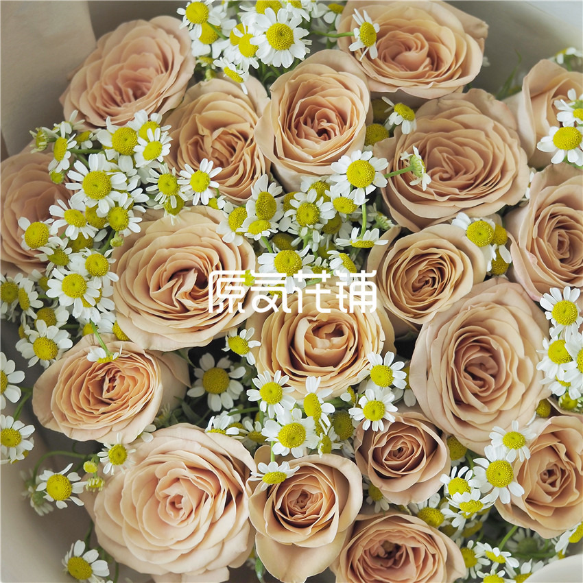 原气花铺-花店-上海-北京卡布奇诺--卡布奇诺玫瑰花束-7