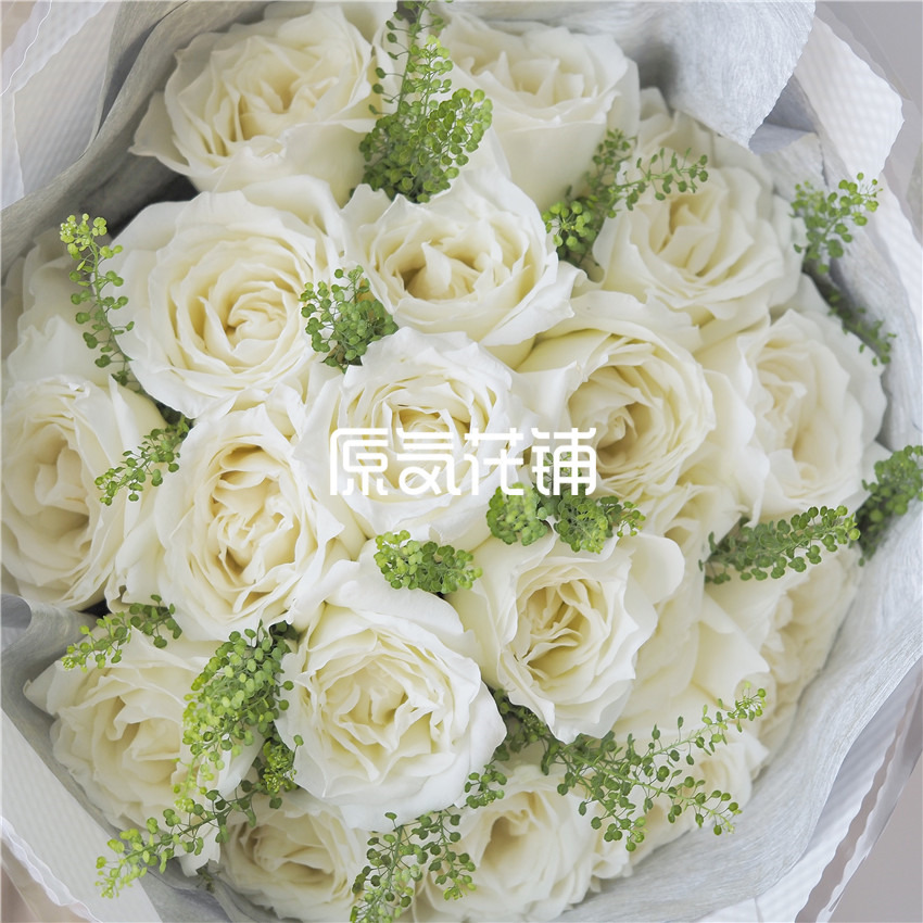原气花铺-花店-上海-北京北极星Pro--白玫瑰绿菱草混合花束-7