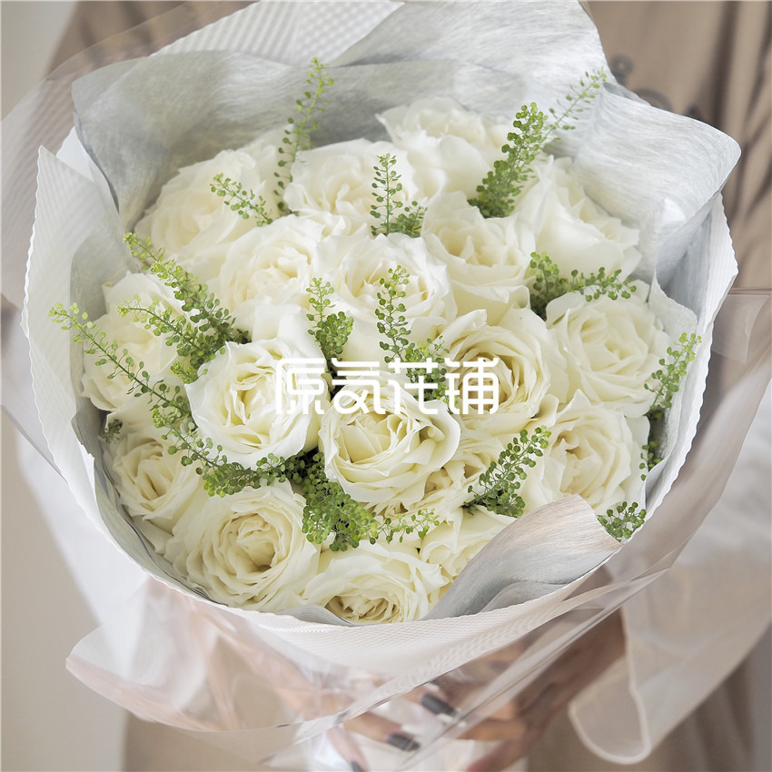 原气花铺-花店-上海-北京北极星Pro--白玫瑰绿菱草混合花束-1