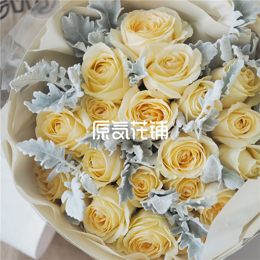 原气花铺-花店-上海-北京香槟Pro--香槟玫瑰银叶菊混合花束-6