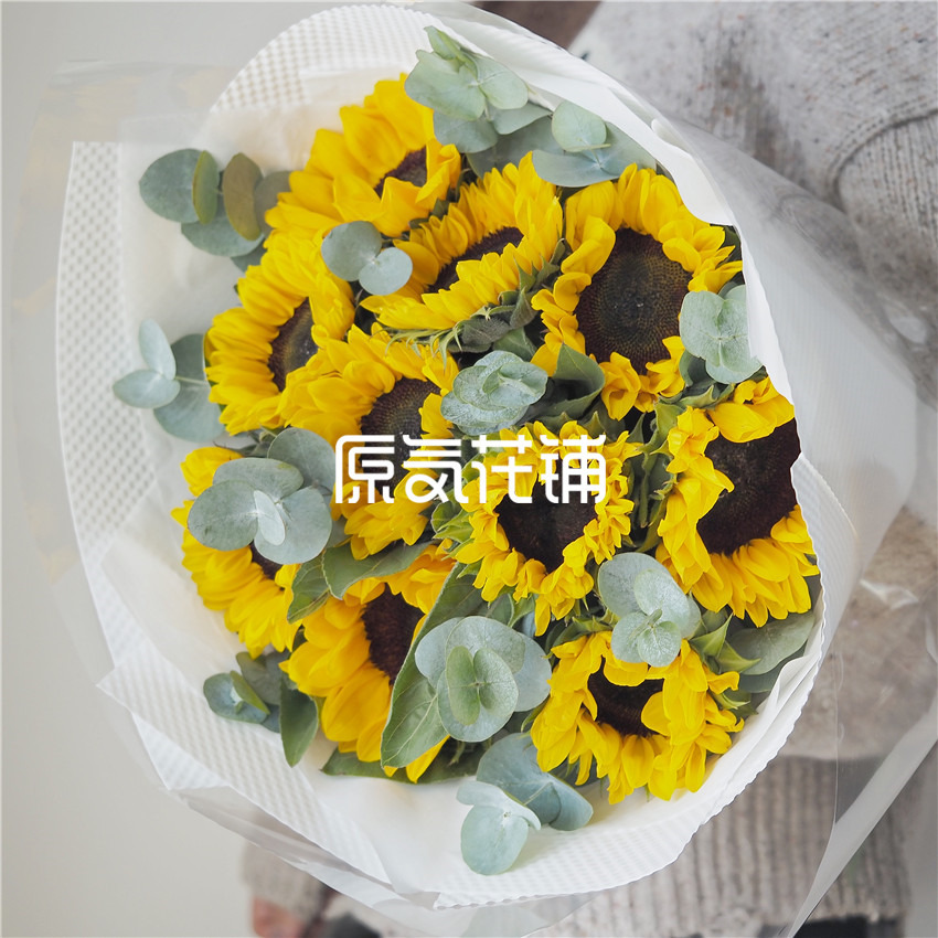 原气花铺-花店-上海-北京守护Pro--向日葵尤加利叶混合花束-5