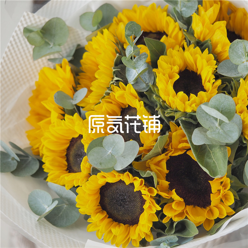 原气花铺-花店-上海-北京守护Pro--向日葵尤加利叶混合花束-6
