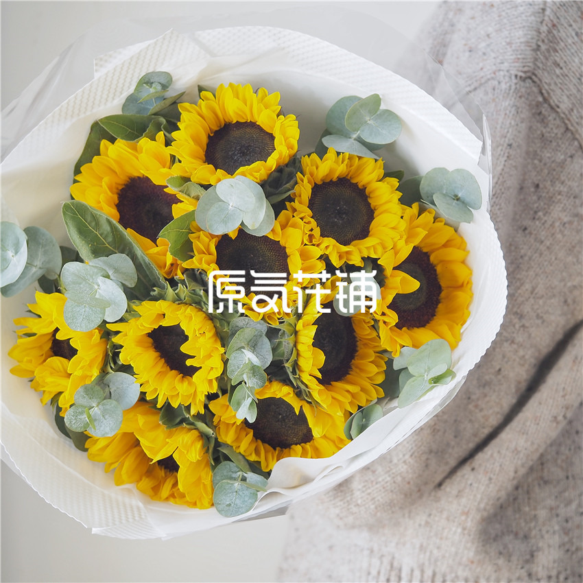 原气花铺-花店-上海-北京守护Pro--向日葵尤加利叶混合花束-1
