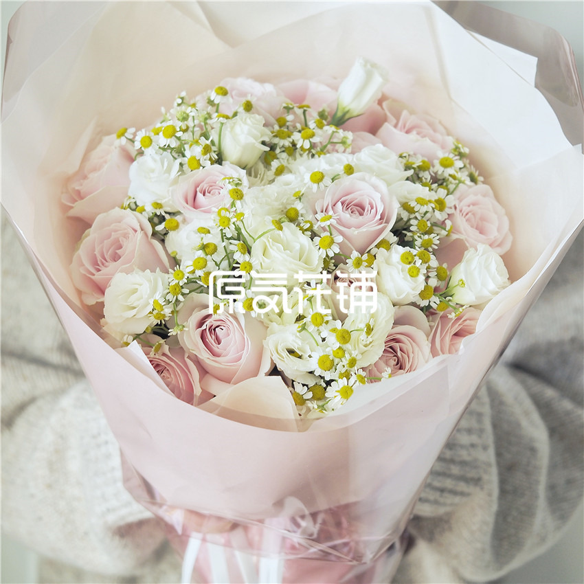 原气花铺-花店-上海-北京温柔--粉雪山玫瑰洋桔梗洋甘菊混合花束-3