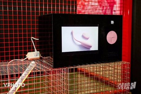 冬天到了，「春潮」还会远吗？